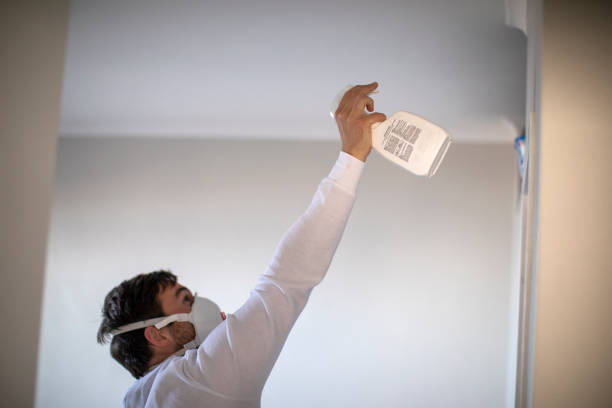 Best Black Mold Removal  in Greenfields, PA