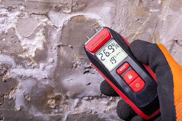 Best Mold Cleaning Services  in Greenfields, PA