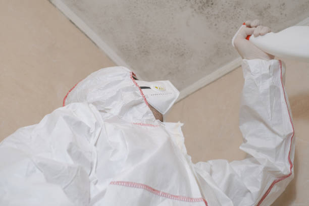 Best Mold Testing  in Greenfields, PA